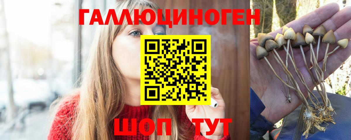 Псилоцибиновые грибы мухоморы  Вход с VPN  купить наркотики цена  Нягань 